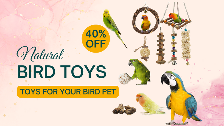 parrot toys bird toy natural toys for birds pet toys natural dried exotic items joynagar handicraft