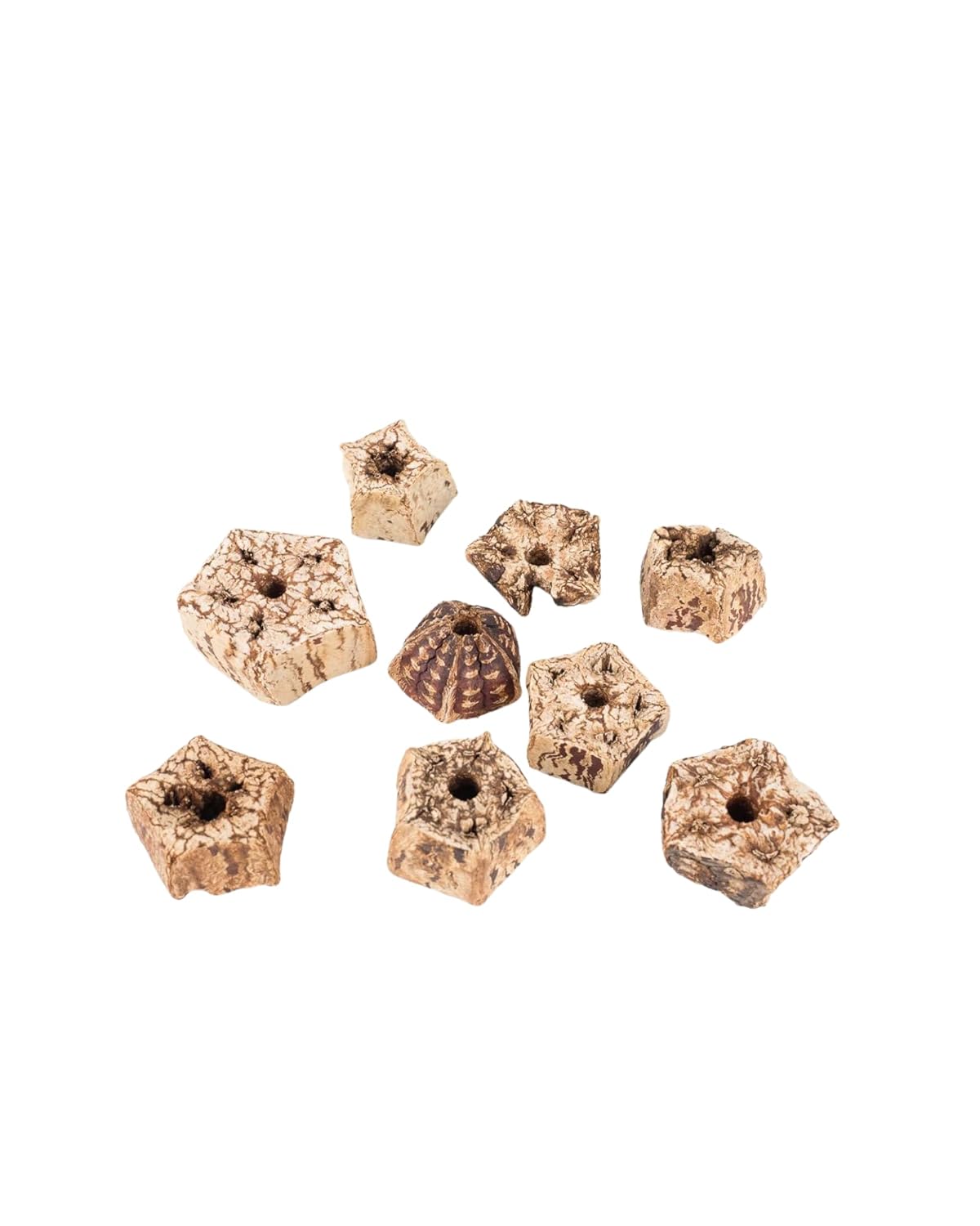 Mahogany Pod Slices Bird Toys 30 pcs