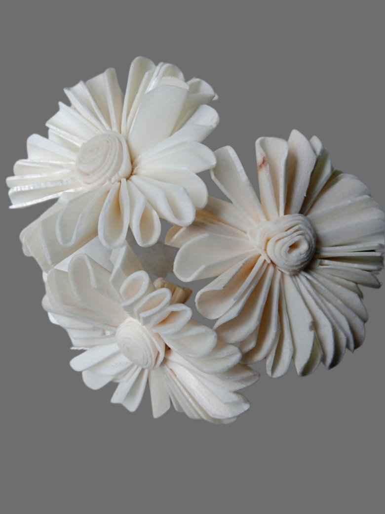 Sunflower White Sola Wood Flower