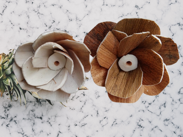 Skin Arora Mix Sola Wood Flower