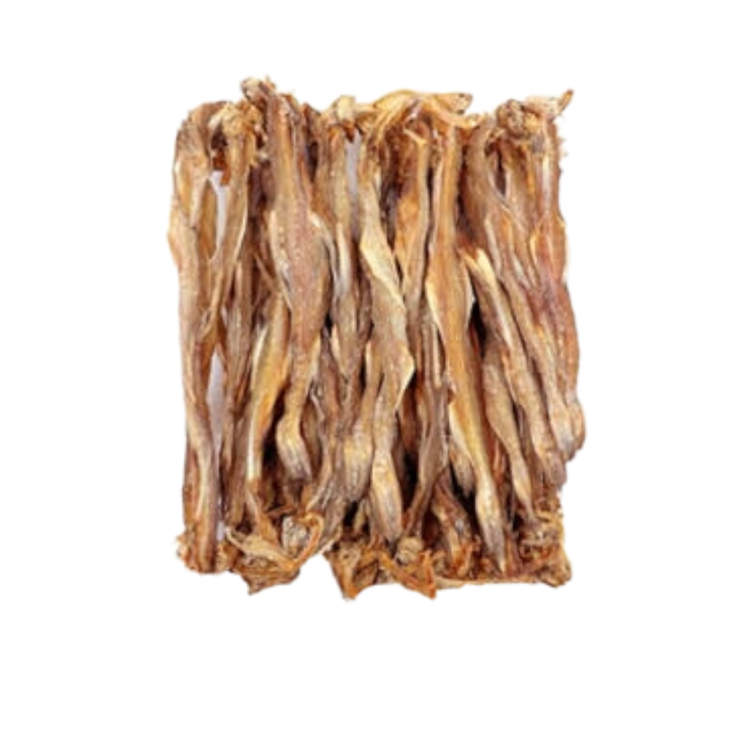 Loita Sutki / Bombay Duck Dried Fish