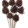 Decorative Natural Dried Pine Flowers on Stem Joynagar Handicraft Handmade Decorative color_natural