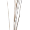 Natural Wavy Stick Joynagar Handicraft Natural color_natural