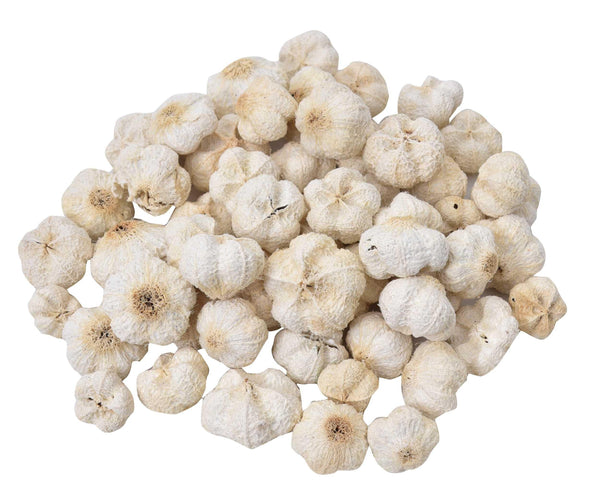 Natural Paras Pod - JOYNAGAR