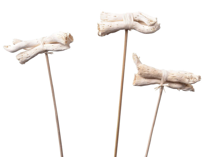 Natural Pepe Cone Possy - JOYNAGAR