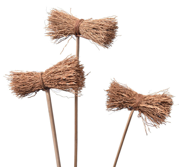 Natural Vetti Possy on Stem - JOYNAGAR