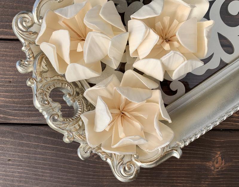 Hebe Sola Wood Flower - JOYNAGAR