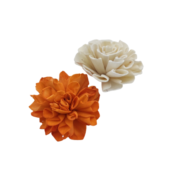 Dahlia Sola Wood Flower. Joynagar