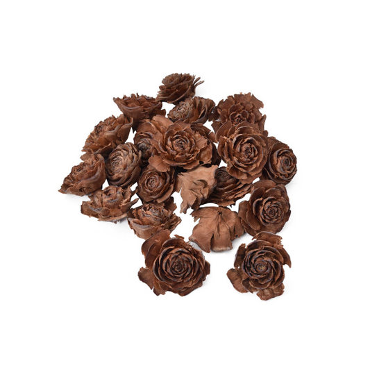Dried Exotic Cedar Rose