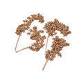Dried Natural Canella Bunch- joynagar