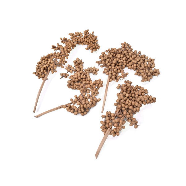 Dried Natural Canella Bunch- joynagar