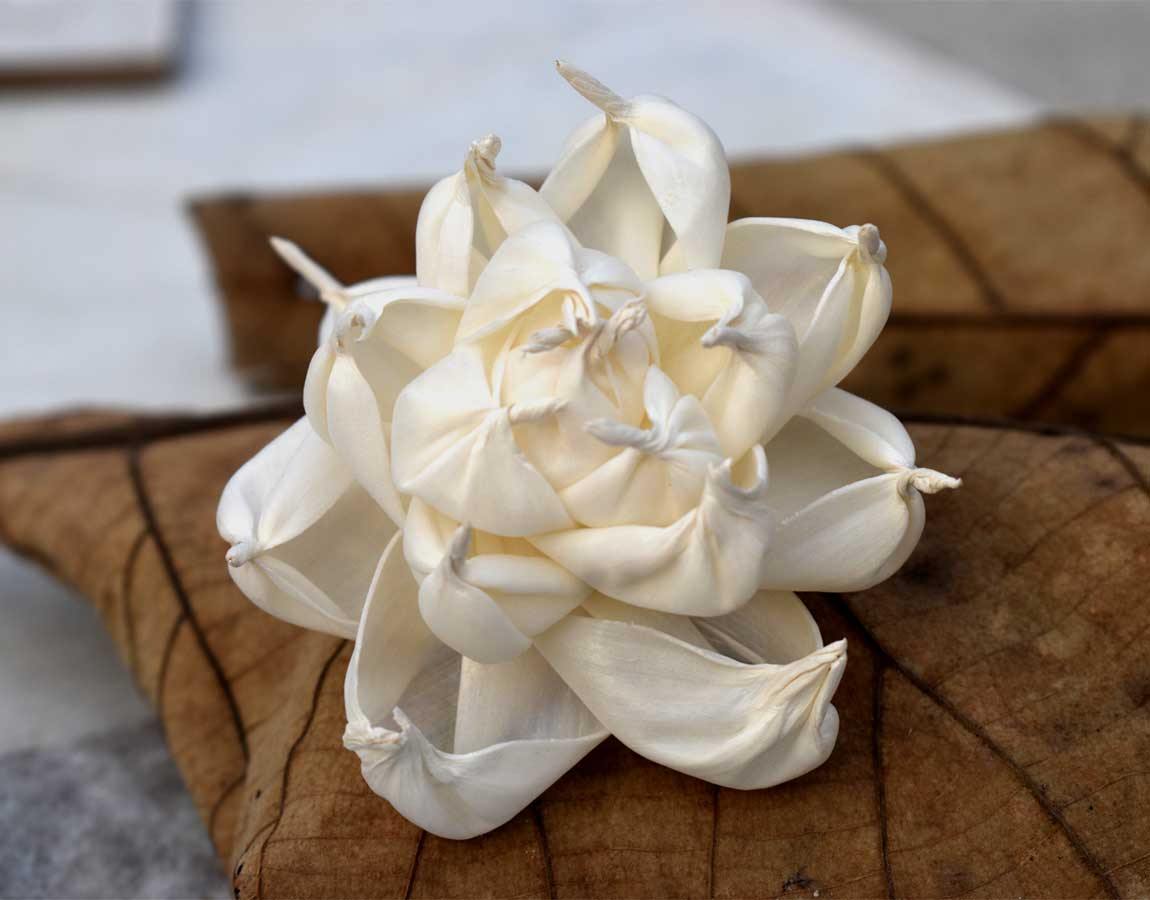 Azalea Sola Wood Flower - JOYNAGAR HANDMADE