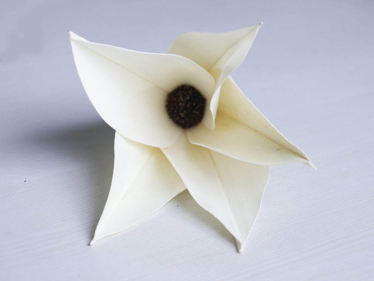 Daisy Palm Lily Flower Jumbo