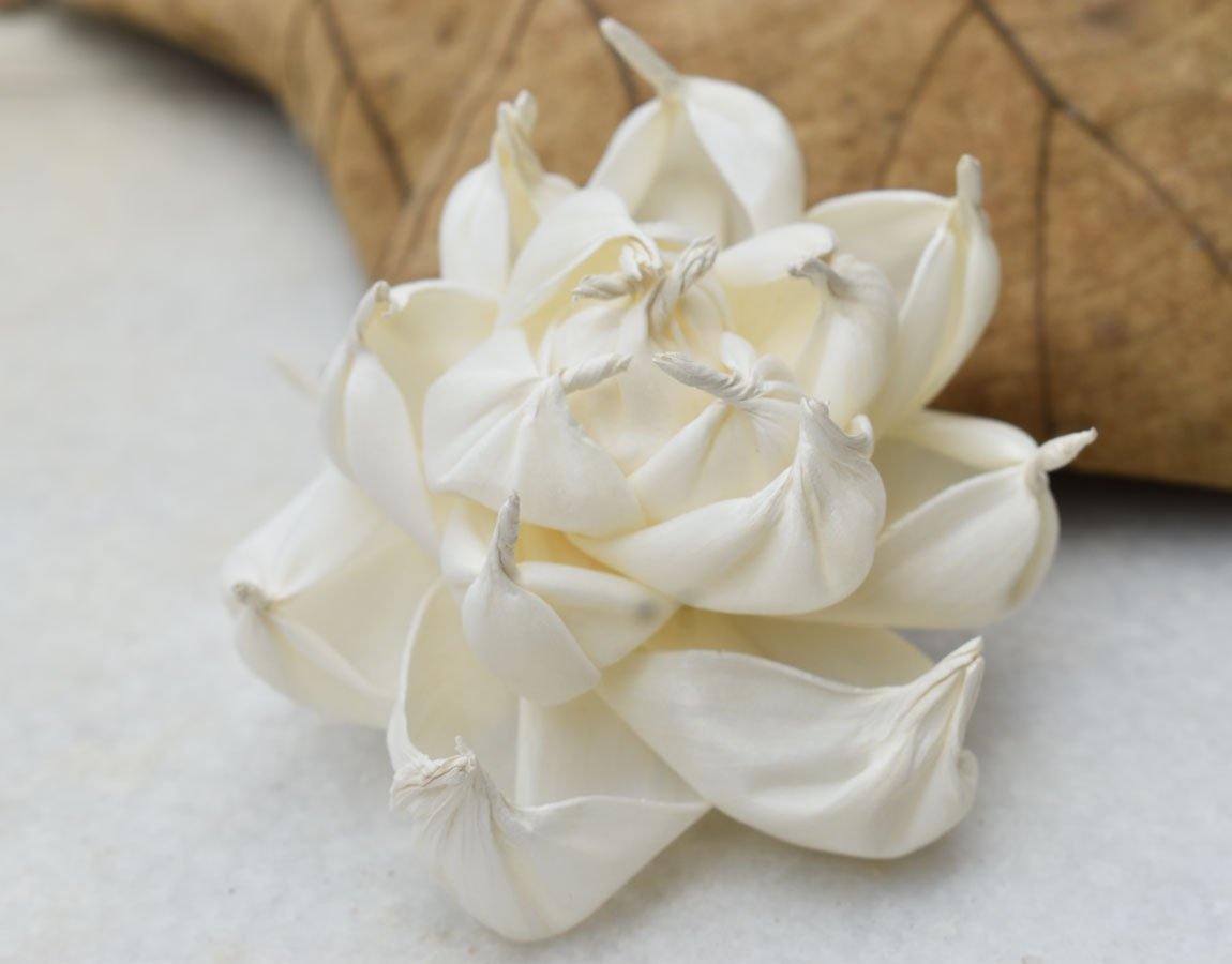 Poise Sola Wood Flower - JOYNAGAR