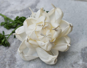 Poise Sola Wood Flower - JOYNAGAR