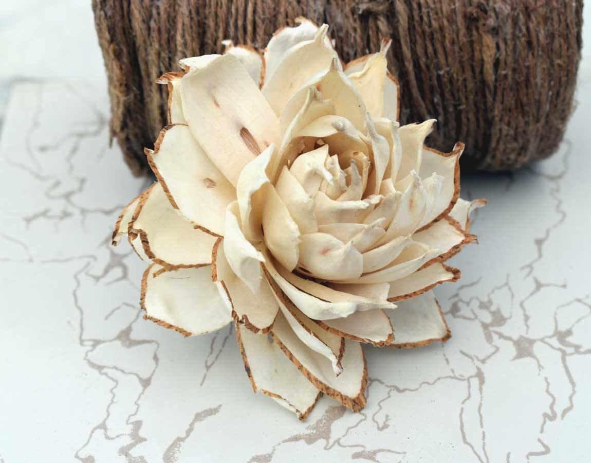 Thistle Sola Wood Skin Flower - JOYNAGAR