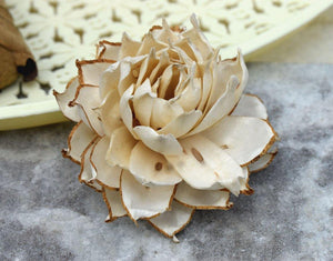 Thistle Sola Wood Skin Flower - JOYNAGAR