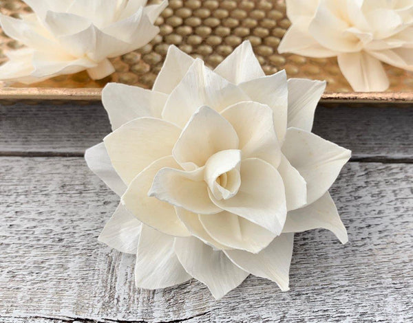 Wedding Rose Sola Wood Flower - JOYNAGAR