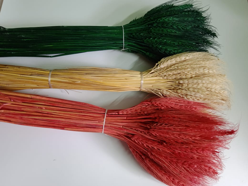 Decorative Dried Wheat Grass Joynagar Handicraft Homedecor color_random