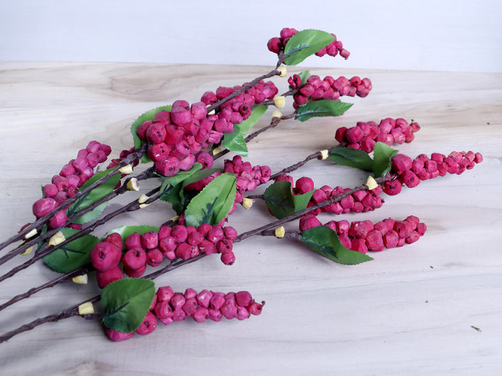 Sola Berry Stick