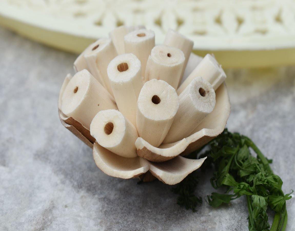 Burl Sola Wood Skin Flower - JOYNAGAR