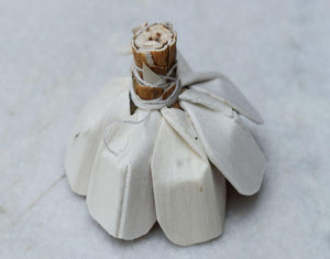 Burl Sola Wood Skin Flower - JOYNAGAR