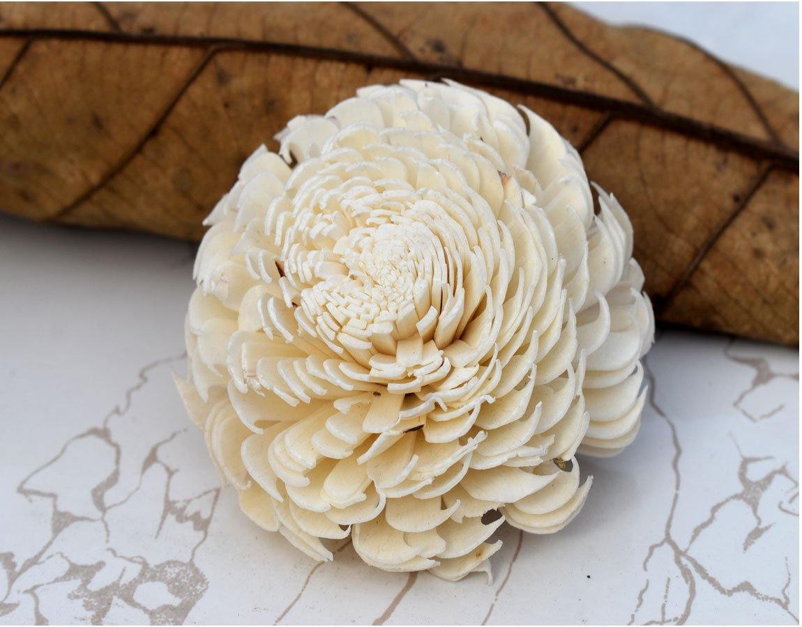 Cedar Sola Wood Flower - JOYNAGAR