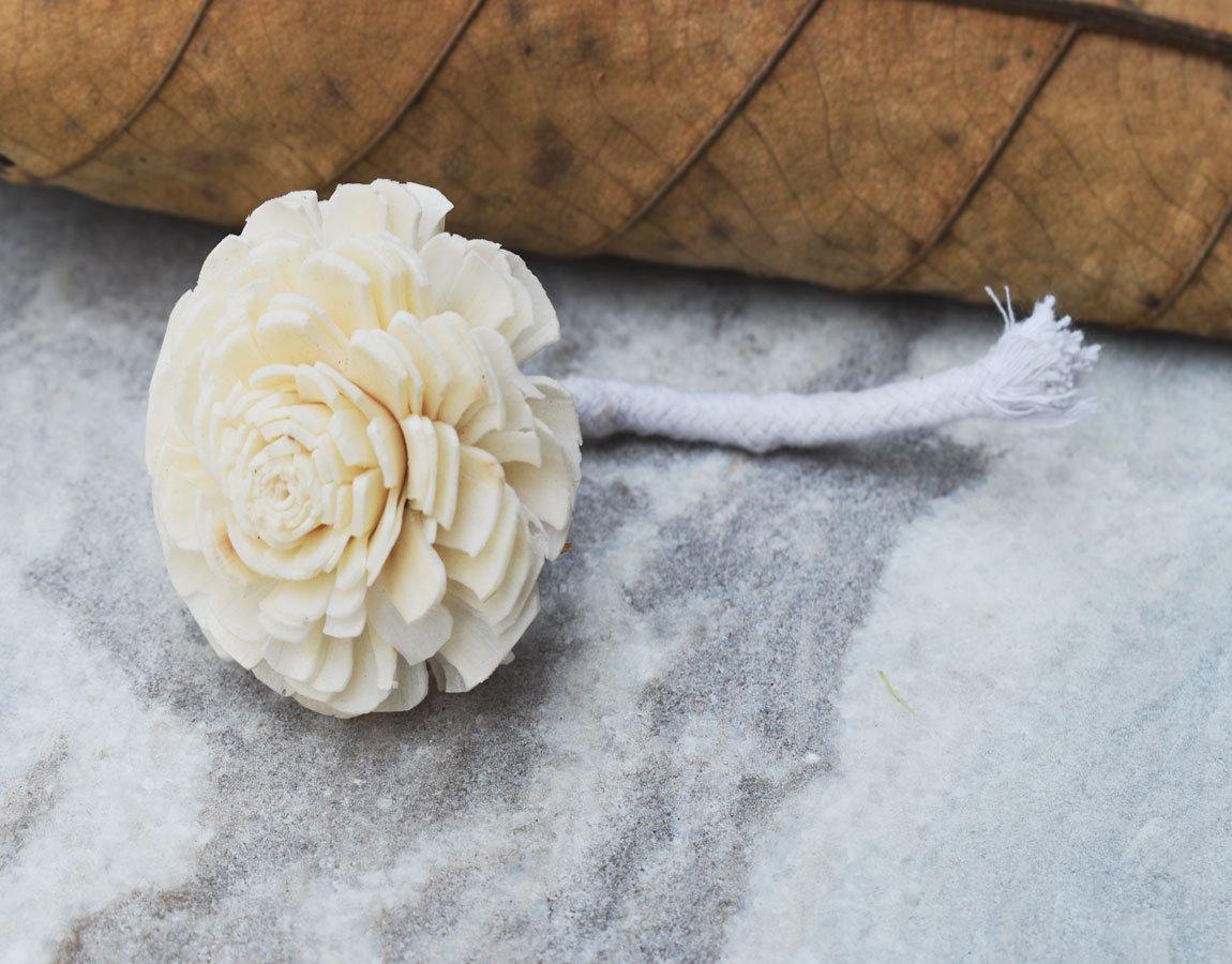 Cedar Reed Diffuser Sola Wood Flower with Rope - JOYNAGAR