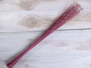 Decorative Coco Moti Stick Joynagar Homedecor color_red