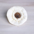 Daisy Corn Rose Flower Loose 6 Cm Natural White Color