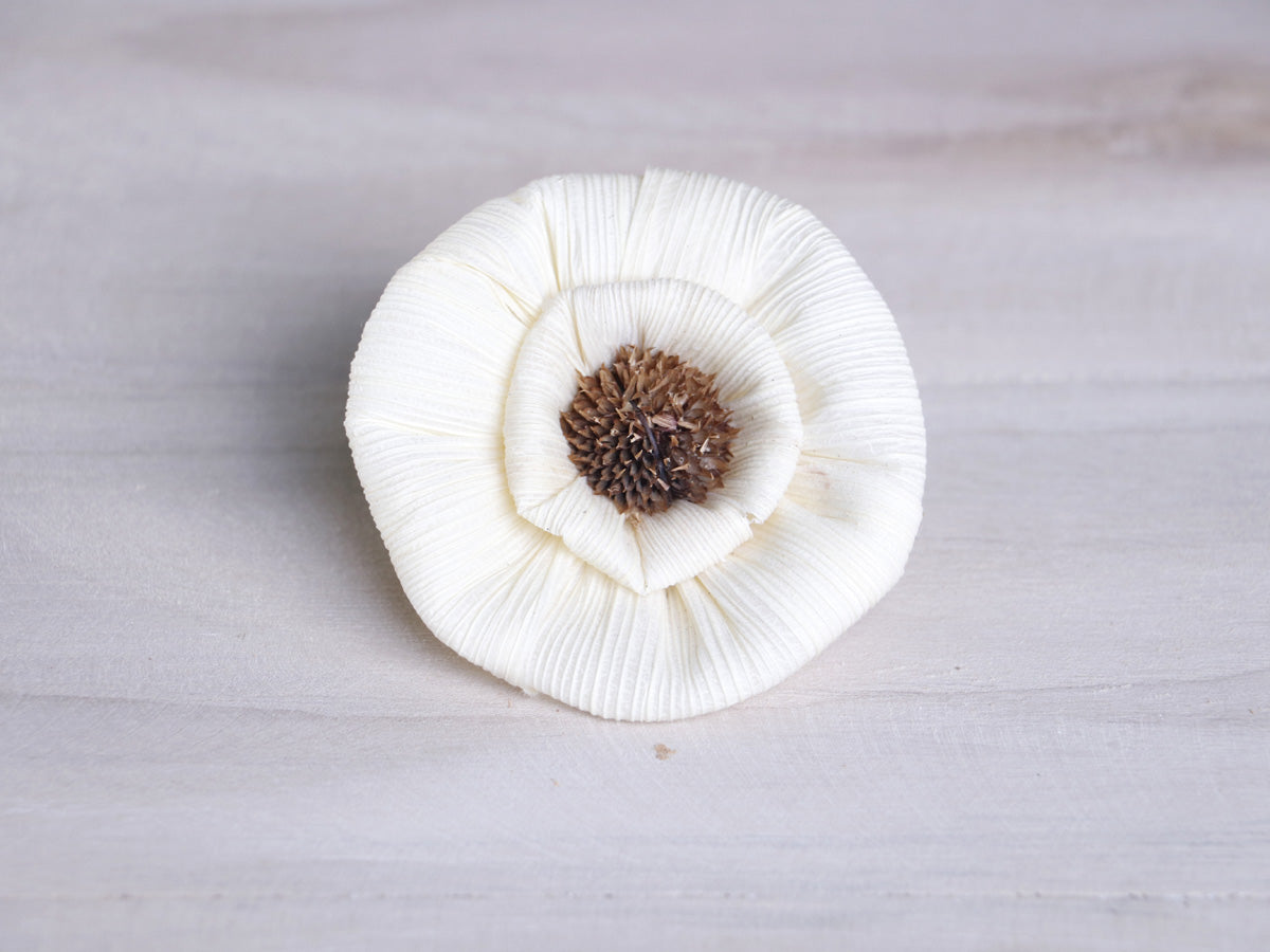 Daisy Corn Rose Flower Loose 6 Cm Natural White Color