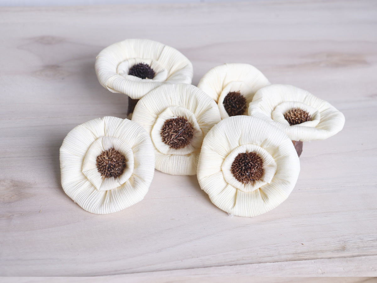 Daisy Corn Rose Flower Loose 6 Cm Natural White Color