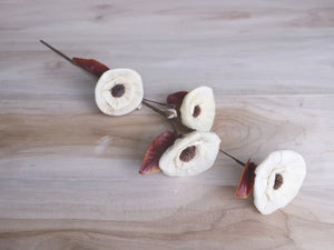 Sola Daisy Corn Rose Flower Stick Joynagar Homedecor  Artificial Flowers color_natural