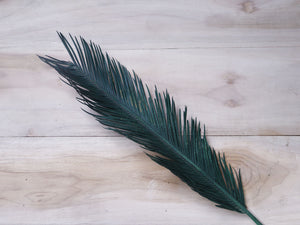 Homedecor Dried Cycus Leaves Joynagar Handicraft Decorative color_green