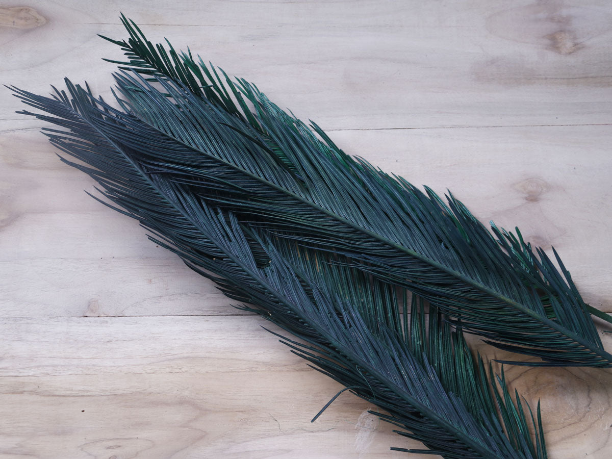 Homedecor Dried Cycus Leaves Joynagar Handicraft Decorative color_green