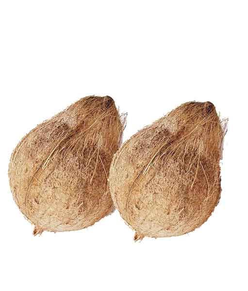 Coconut 2 pcs - Joynagar | Taste of Sundarban