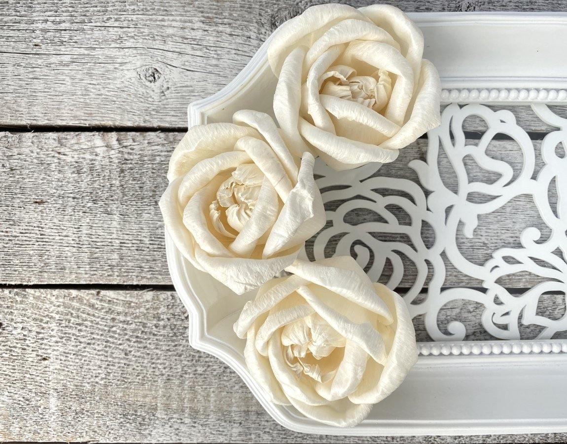 Gloriana Sola Wood Flower - JOYNAGAR