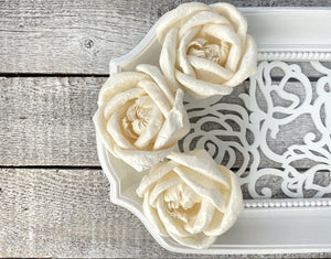 Gloriana Sola Wood Flower - JOYNAGAR