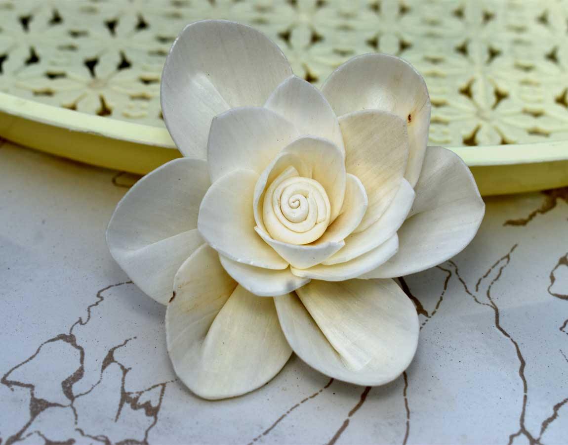 Fleur Sola Wood Flower - JOYNAGAR