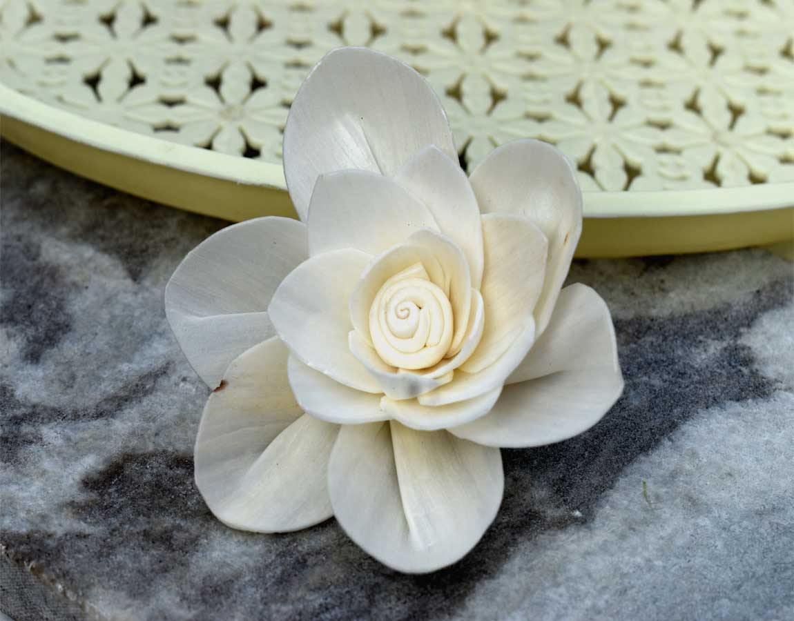 Fleur Sola Wood Flower - JOYNAGAR