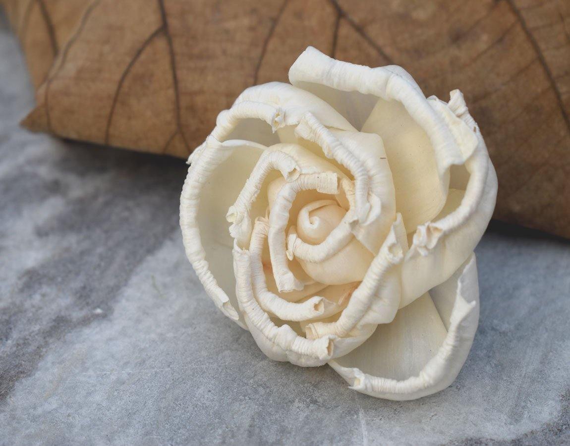 Floryn Sola Wood Flower - JOYNAGAR