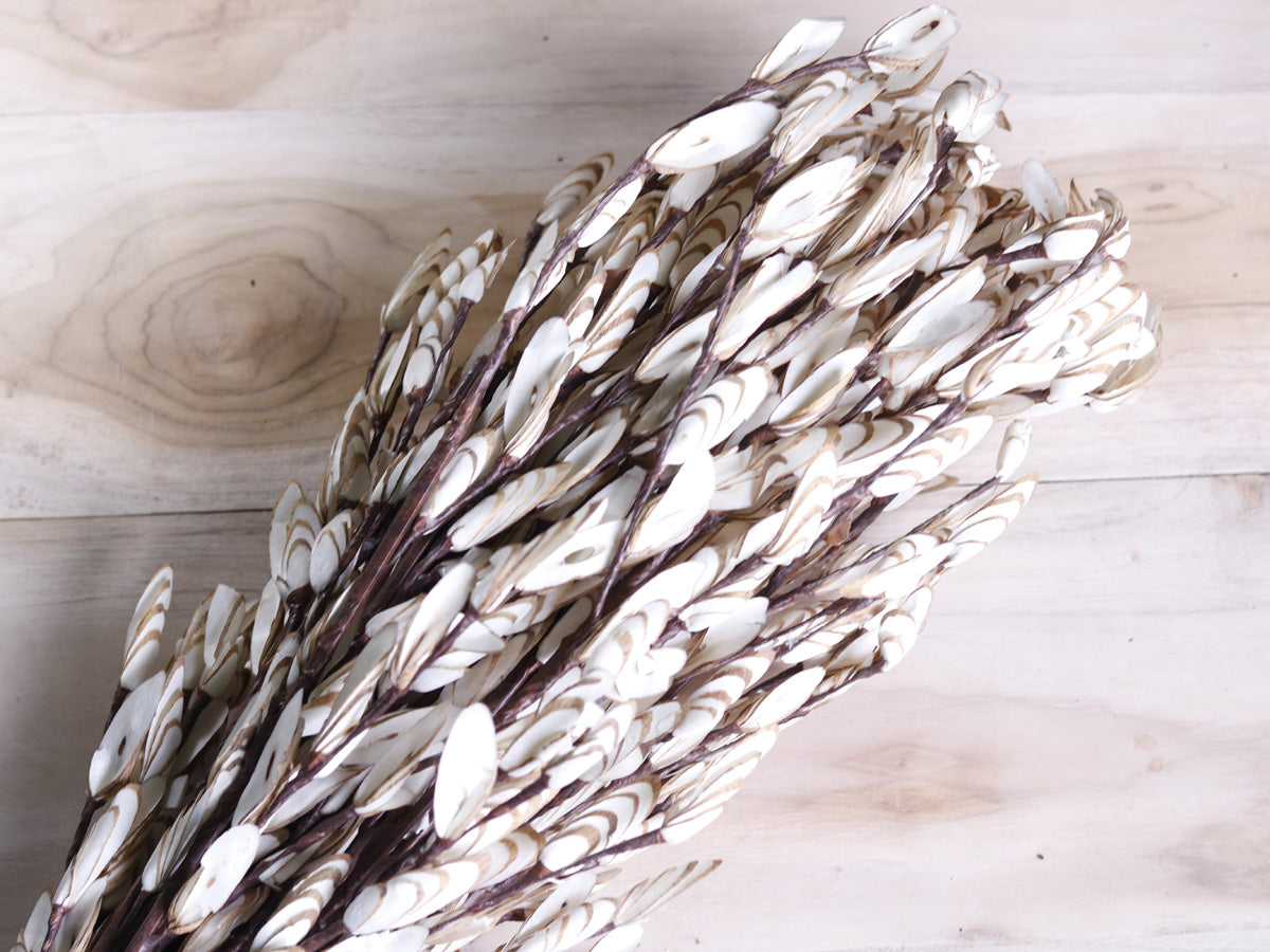 Decorative German Blossom Stick Joynagar Handicraft Artificial Flowers color_natural