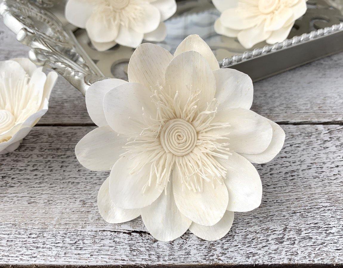 German Posh Sola Wood Flower - JOYNAGAR