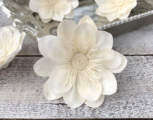 German Posh Sola Wood Flower - JOYNAGAR