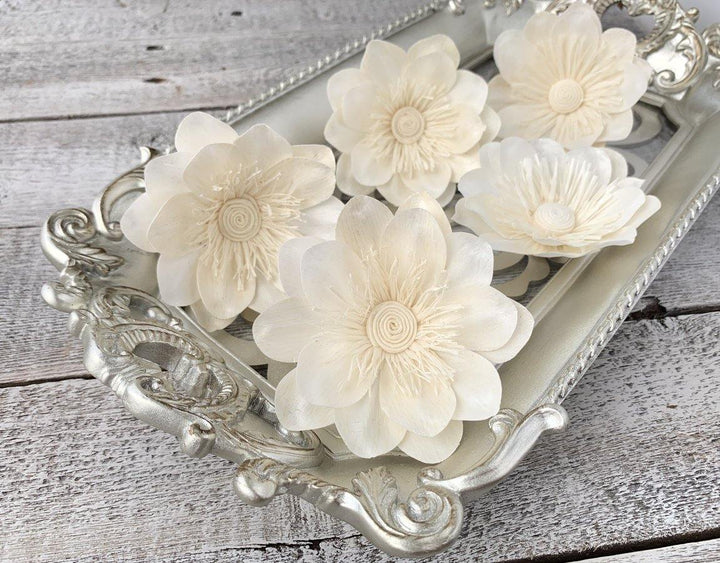 German Posh Sola Wood Flower - JOYNAGAR