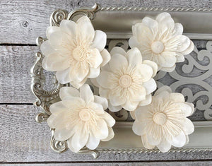 German Posh Sola Wood Flower - JOYNAGAR