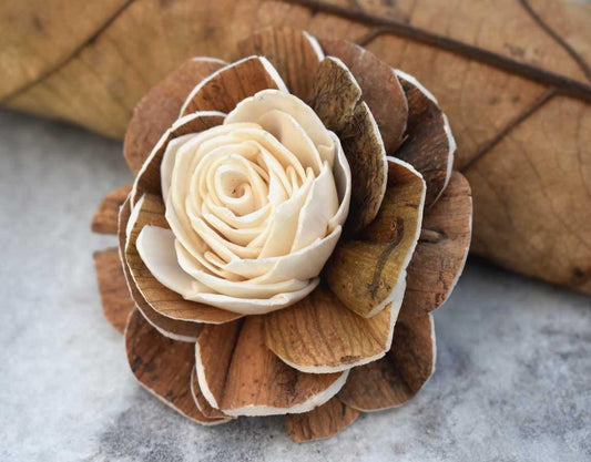 Jarred Sola Wood Skin Flower - JOYNAGAR