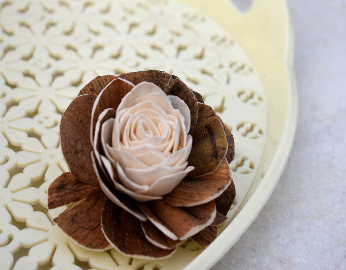 Jarred Sola Wood Skin Flower - JOYNAGAR