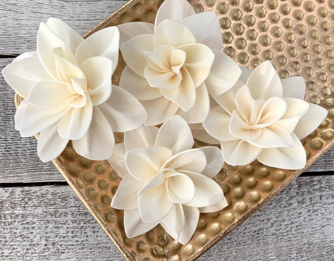 Jenella Sola Wood Flower - JOYNAGAR