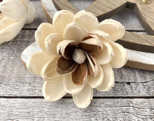 Joie Sola Wood Flower - JOYNAGAR